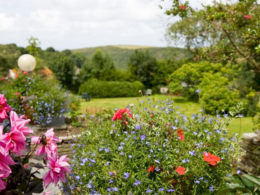 مبيت وإفطار Boscastle House المظهر الخارجي الصورة