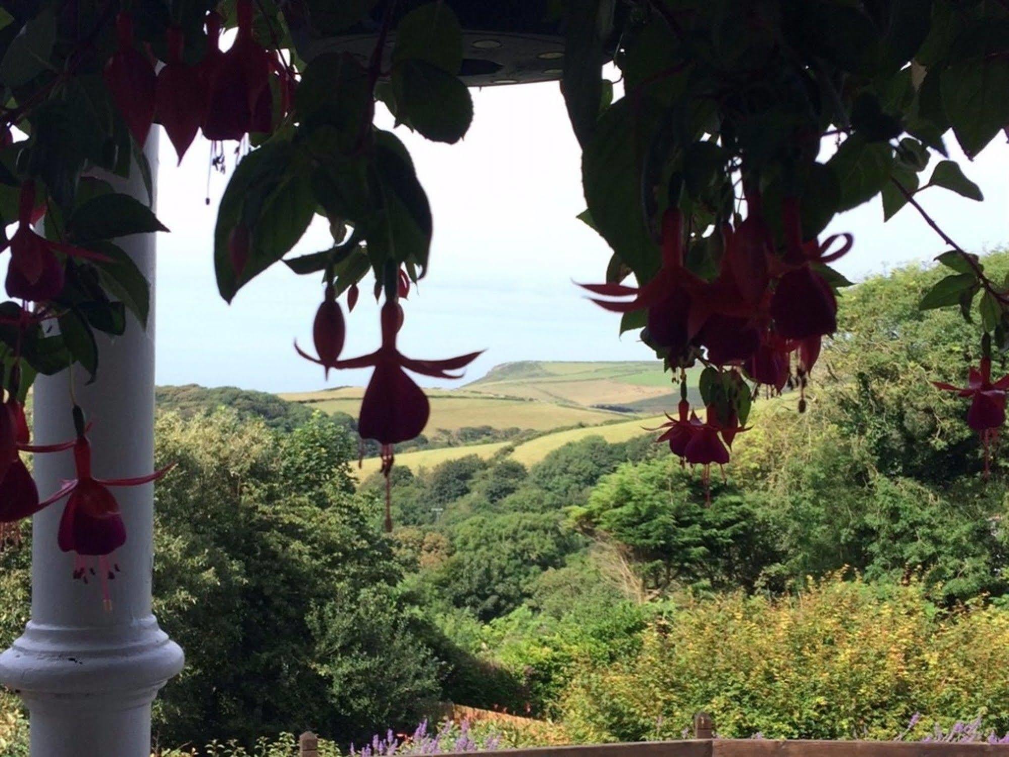 مبيت وإفطار Boscastle House المظهر الخارجي الصورة